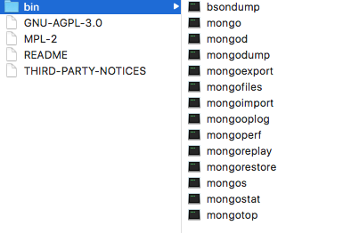 Download Mongodb For Mac